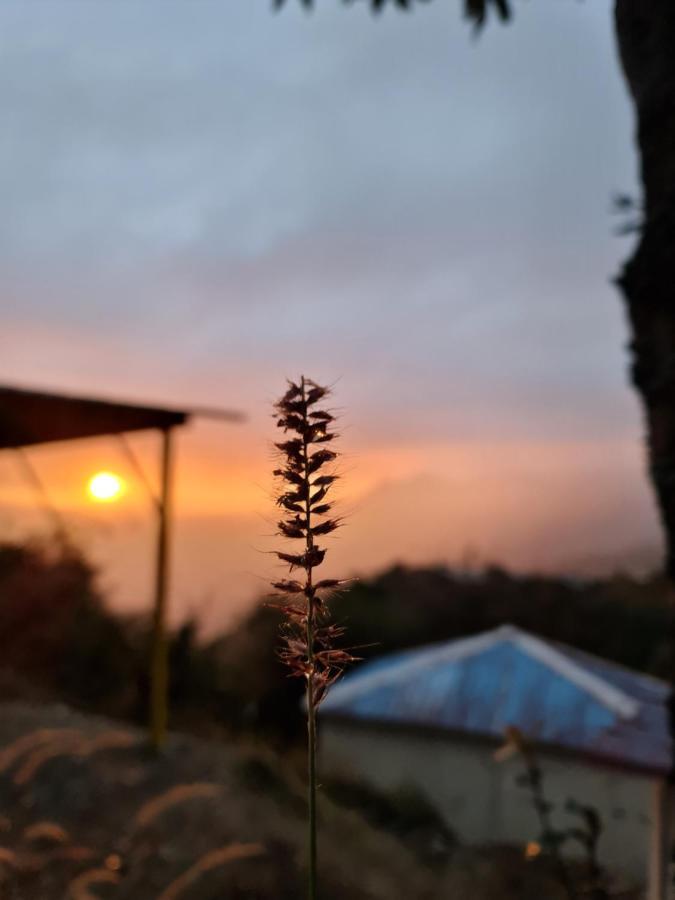 The Kanatal Arbour Exteriér fotografie