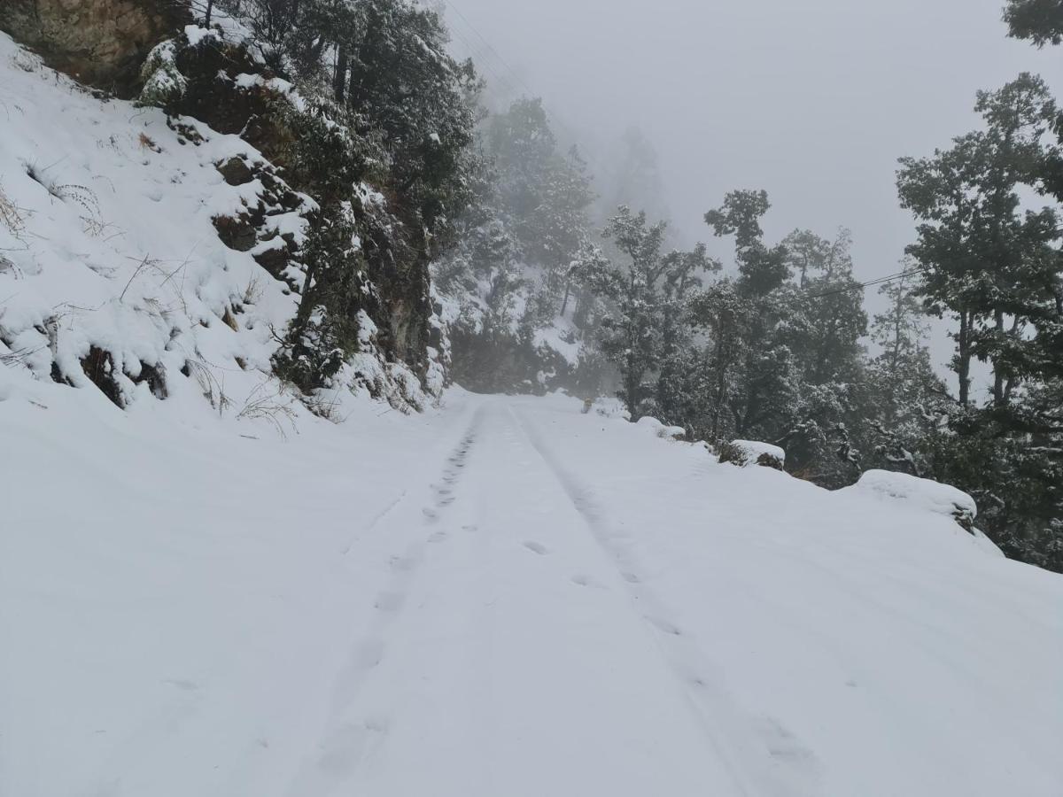 The Kanatal Arbour Exteriér fotografie